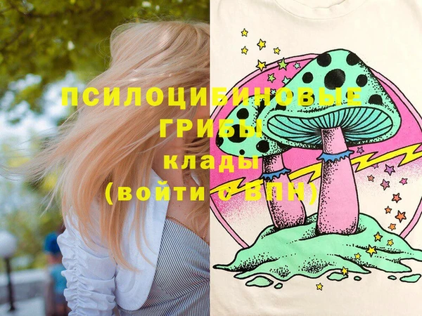 крисы Алексеевка