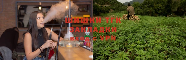 крисы Алексеевка